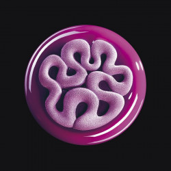 Фото продукта