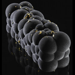 Фото продукта